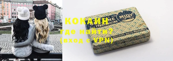 прущие грибы Протвино