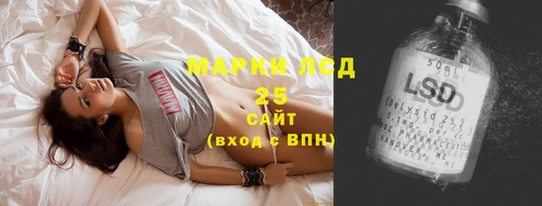прущие грибы Протвино