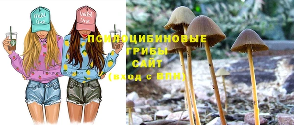 прущая мука Пролетарск