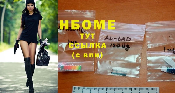 прущие грибы Протвино