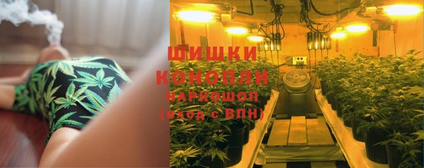 прущие грибы Протвино