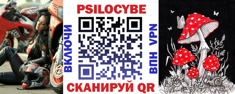 наркошоп Красноперекопск Псилоцибиновые грибы Cubensis